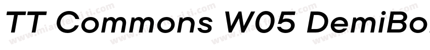 TT Commons W05 DemiBold Regular下载字体转换